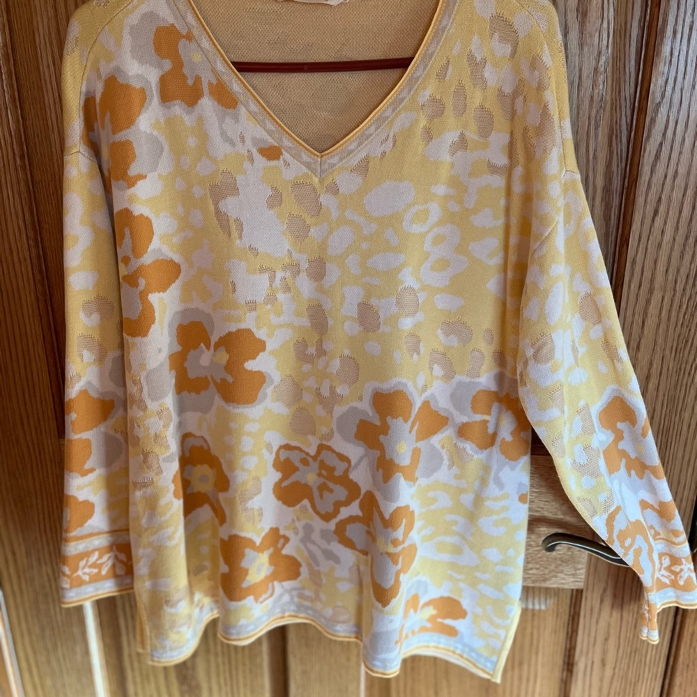 Soft Surroundings v-neck pullover sweater.